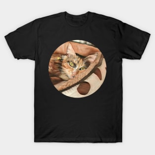 Curled Up floppy cat T-Shirt